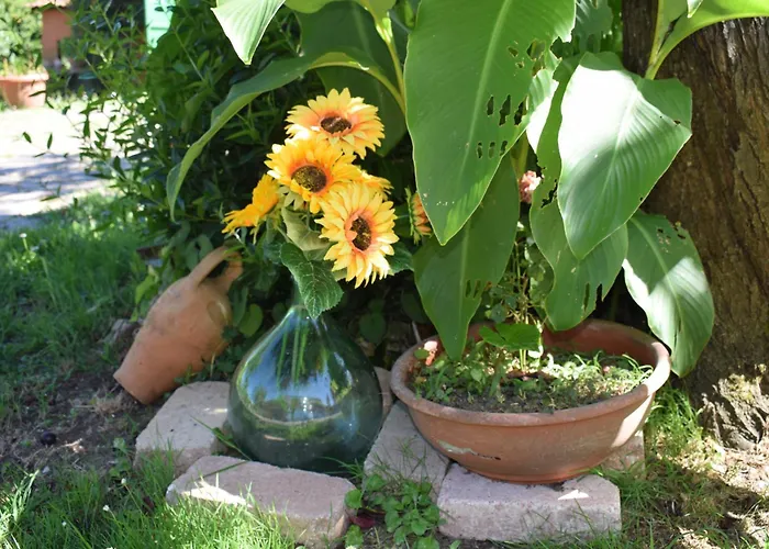 Girasole * 라리
